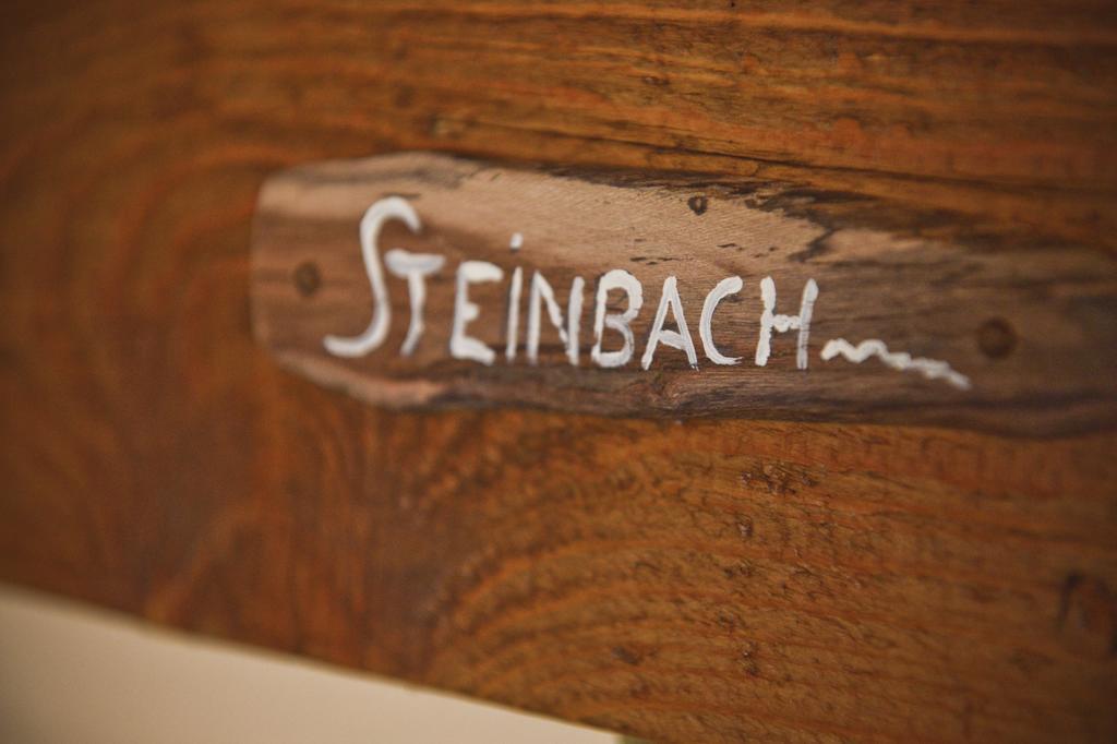 Pension Zierlinger Senftenberg Bagian luar foto
